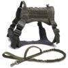 Ranger Green Harness and Leash